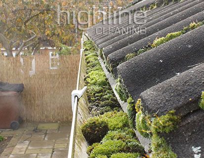 Highline Cleaning clearing a gutter with a high-powered vacuum